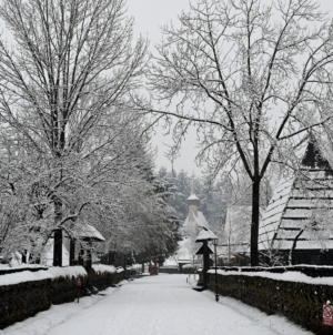 De Ziua Culturii Naționale: Câteva versuri din Eminescu îți asigură acces gratuit la Muzeul Maramureșan din Sighetu Marmației