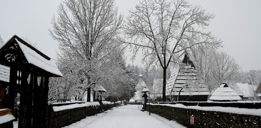 De Ziua Culturii Naționale: Câteva versuri din Eminescu îți asigură acces gratuit la Muzeul Maramureșan din Sighetu Marmației