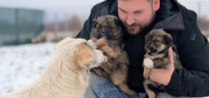 Fight for Animals, cinci ani de responsabilitate și speranță pentru micile necuvântătoare