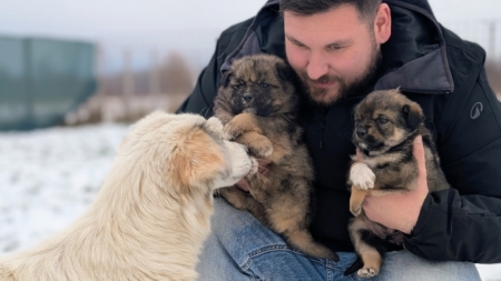 Fight for Animals, cinci ani de responsabilitate și speranță pentru micile necuvântătoare