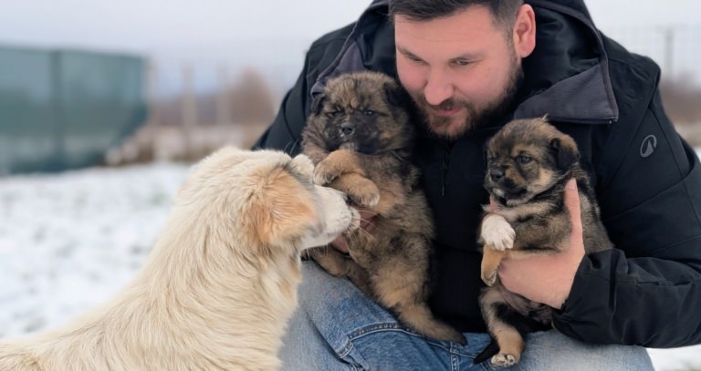 Fight for Animals, cinci ani de responsabilitate și speranță pentru micile necuvântătoare