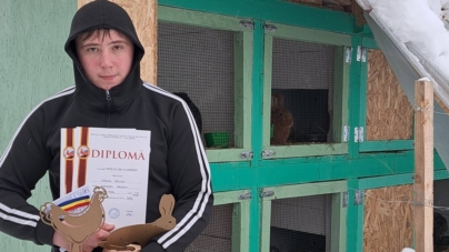 Pasiune, ambiție și muncă: Miklos Jozsef, tânărul din Dămăcușeni care face performanță în creșterea animalelor de rasă