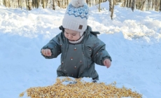 Cel mai tânăr silvicultor maramureșean, hotărât să ajute animalele sălbatice să treacă cu bine peste ger