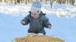 Cel mai tânăr silvicultor maramureșean, hotărât să ajute animalele sălbatice să treacă cu bine peste ger