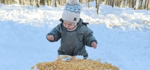 Cel mai tânăr silvicultor maramureșean, hotărât să ajute animalele sălbatice să treacă cu bine peste ger