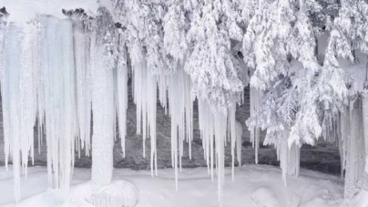 Cod galben de ger pentru Banat, Crișana, Maramureș și Transilvania