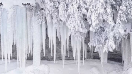 Cod galben de ger pentru Banat, Crișana, Maramureș și Transilvania