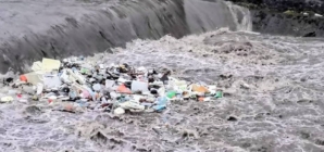 Rațe, egrete și… gunoaie, pe Săsar