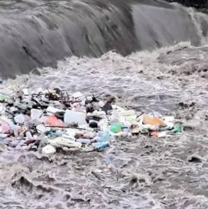 Rațe, egrete și… gunoaie, pe Săsar