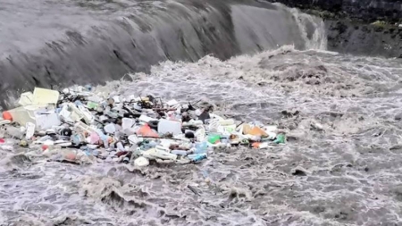 Rațe, egrete și… gunoaie, pe Săsar