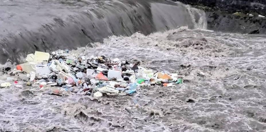 Rațe, egrete și… gunoaie, pe Săsar