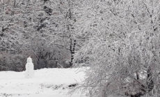 Prognoza meteo Maramureș, vineri 9 ianuarie 2026