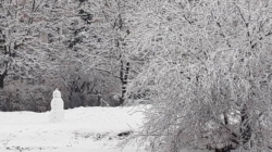 Prognoza meteo Maramureș, vineri 9 ianuarie 2026