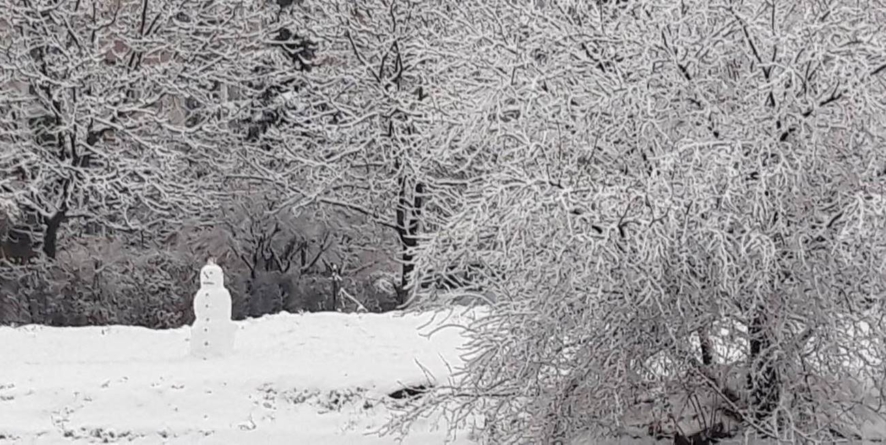 Prognoza meteo Maramureș, vineri 9 ianuarie 2026