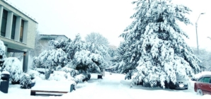 Cod Galben de temperaturi scăzute: frig extrem în următoarele zile