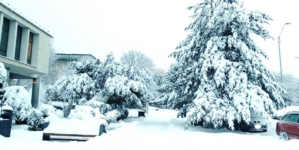 Cod Galben de temperaturi scăzute: frig extrem în următoarele zile