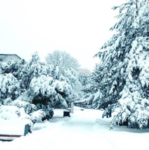 Cod Galben de temperaturi scăzute: frig extrem în următoarele zile