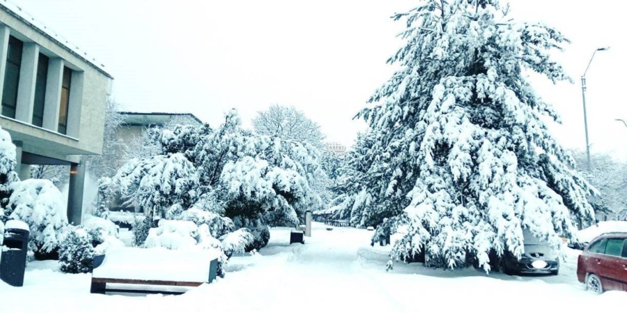 Cod Galben de temperaturi scăzute: frig extrem în următoarele zile