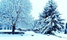 Prognoza meteo maramureș, sâmbătă 10 ianuarie 2026