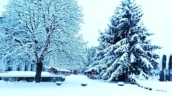 Prognoza meteo maramureș, sâmbătă 10 ianuarie 2026