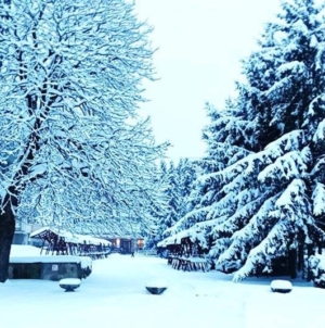 Prognoza meteo maramureș, sâmbătă 10 ianuarie 2026