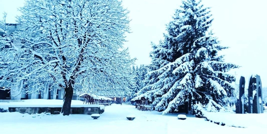 Prognoza meteo maramureș, sâmbătă 10 ianuarie 2026