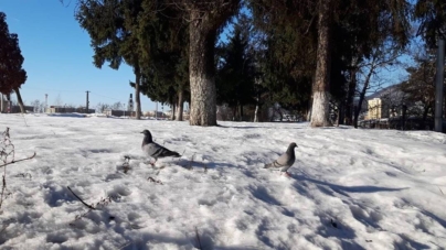 Prognoza meteo Maramureș, sâmbătă 24 ianuarie 2026