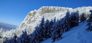 11 ianuarie – Ziua Mondială a Rezervațiilor Naturale