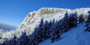 11 ianuarie – Ziua Mondială a Rezervațiilor Naturale