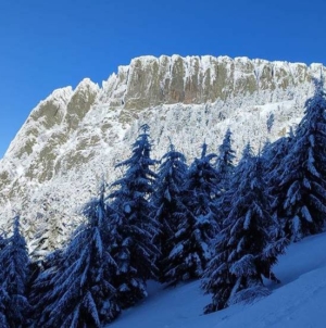 11 ianuarie – Ziua Mondială a Rezervațiilor Naturale