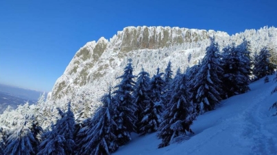 11 ianuarie – Ziua Mondială a Rezervațiilor Naturale