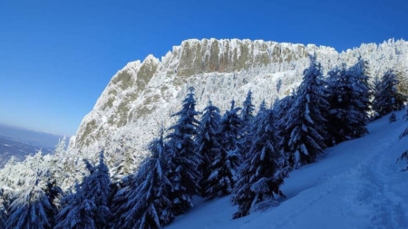 11 ianuarie – Ziua Mondială a Rezervațiilor Naturale