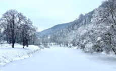 Iarnă ca pe vremuri: -20°C la Târgu Lăpuș