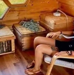 Cum se transformă aerul din stup într-un refugiu pentru oameni. Proiect inedit prezentat la Târgu Lăpuș