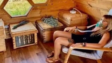 Cum se transformă aerul din stup într-un refugiu pentru oameni. Proiect inedit prezentat la Târgu Lăpuș