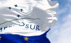 Comerțul României cu Mercosur are multe fațete, iar protestele fermierilor surprind doar o parte din imagine