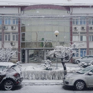 DSVSA a depistat trichineloza în Maramureș