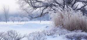 Administrația Națională de Meteorologie a emis o informare meteorologică valabilă până pe 4 februarie