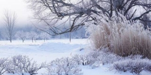 Administrația Națională de Meteorologie a emis o informare meteorologică valabilă până pe 4 februarie