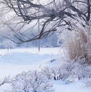 Administrația Națională de Meteorologie a emis o informare meteorologică valabilă până pe 4 februarie