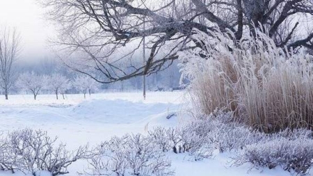 Administrația Națională de Meteorologie a emis o informare meteorologică valabilă până pe 4 februarie