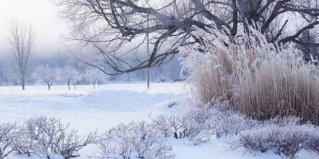 Administrația Națională de Meteorologie a emis o informare meteorologică valabilă până pe 4 februarie