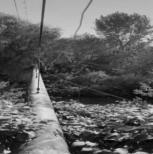 Un băimărean a scăpat cu viață după ce a petrecut aproape două ore în apele râului Săsar