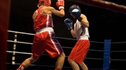 Spectacol total la Baia Mare: lupte, muzică și o cauză care contează