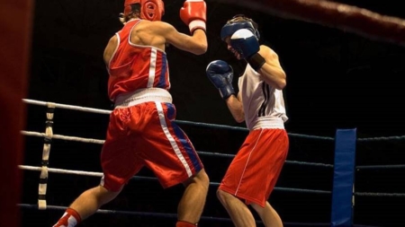 Spectacol total la Baia Mare: lupte, muzică și o cauză care contează