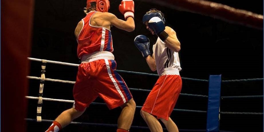 Spectacol total la Baia Mare: lupte, muzică și o cauză care contează