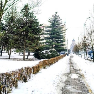 Prognoza meteo Maramureș, vineri 30 ianuarie 2026