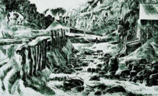 Vacek – proză de Marian Ilea (XXIV)