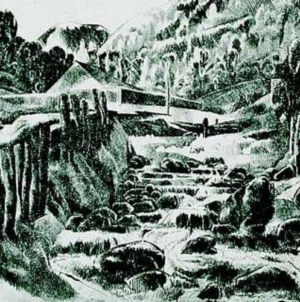 Vacek – proză de Marian Ilea (XXIV)