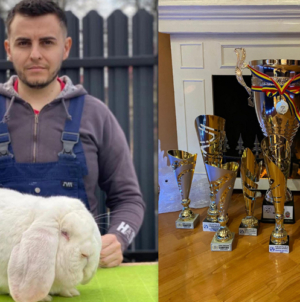 Cosmin Cozma, maramureșeanul care a transformat cadoul primit de la bunic în performanță internațională în creșterea iepurilor de rasă